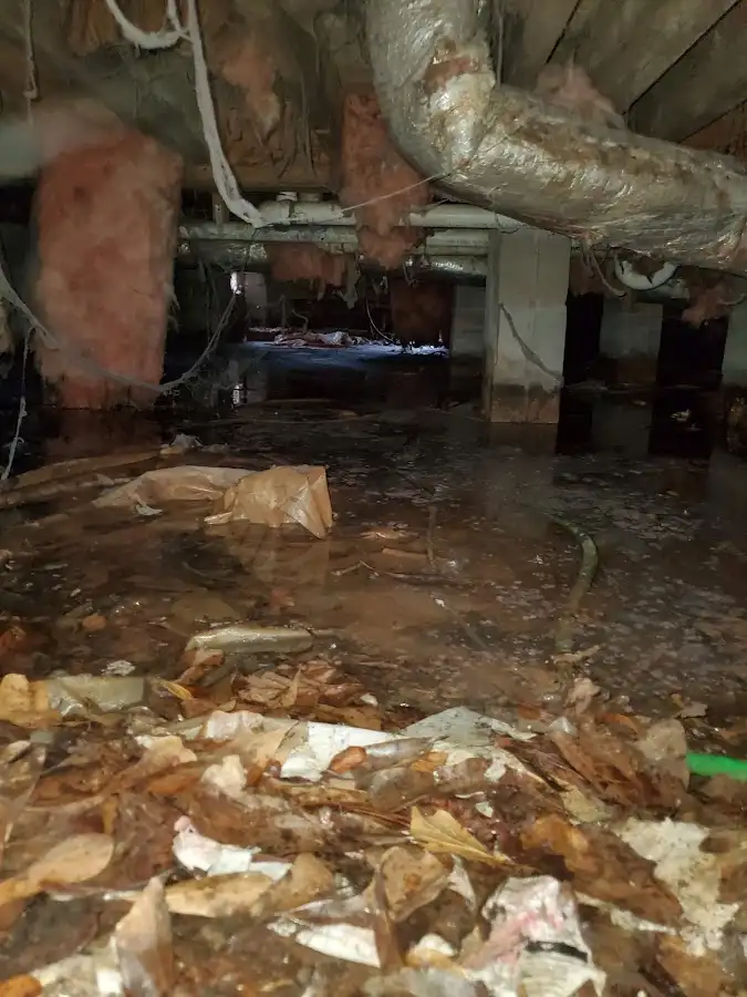 Crawl space flood assessment for Leak Detection & Repair in Diamondhead