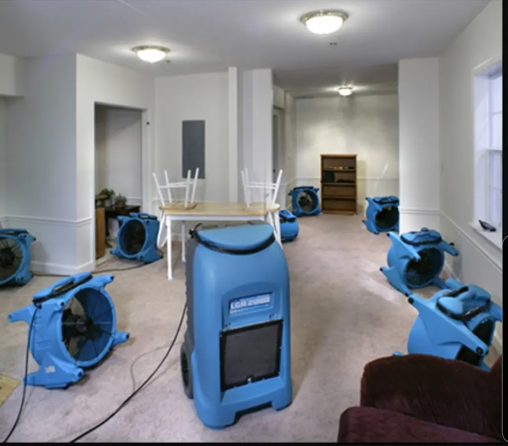 Air movers and dehumidifier setup for Water Extraction & Removal in Diamondhead